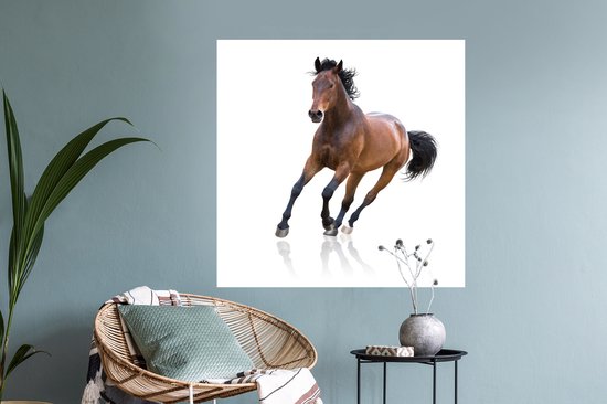 Muurstickers - Sticker Folie - Paard - Bruin - Wit - 100x100 cm - Plakfolie - Muurstickers Kinderkamer - Zelfklevend Behang XXL - Zelfklevend behangpapier - Stickerfolie