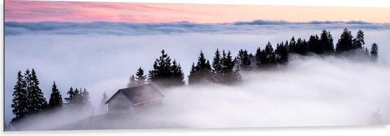 WallClassics - Dibond - Boomtoppen boven Mistlaag - 150x50 cm Foto op Aluminium (Met Ophangsysteem)