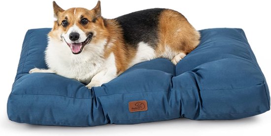 BEDSURE Hondenkussen voor kleine honden, wasbaar, 76 x 50 cm, hondenmatras, waterdicht, M, voor kleine en middelgrote honden, outdoor, gevoerd, groen, 10 cm hoog