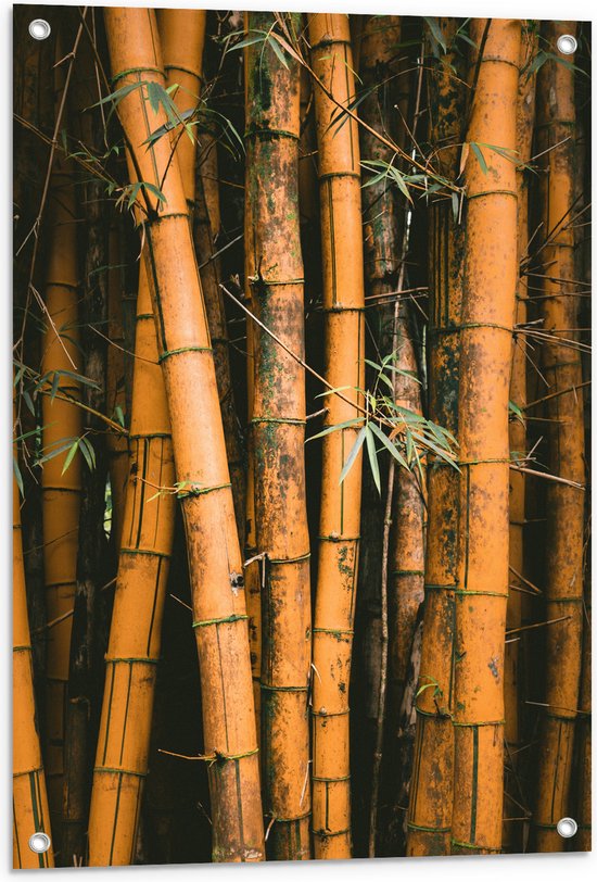 WallClassics - Tuinposter – Bamboestammen Staand - 60x90 cm Foto op Tuinposter  (wanddecoratie voor buiten en binnen)