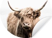 WallCircle - Muurstickers - Behangcirkel - Portret Schotse Hooglander - Dieren - 50x50 cm - Muurcirkel - Zelfklevend - Ronde Behangsticker