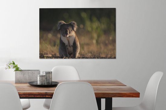 Peintures sur toile Koala - Soleil - Animaux - 90x60 cm - Décoration murale