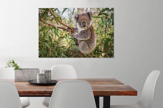 Koala dans un arbre Toile 80x60 cm - Tirage photo sur toile (Décoration murale salon / chambre) / Peintures sur toile Animaux