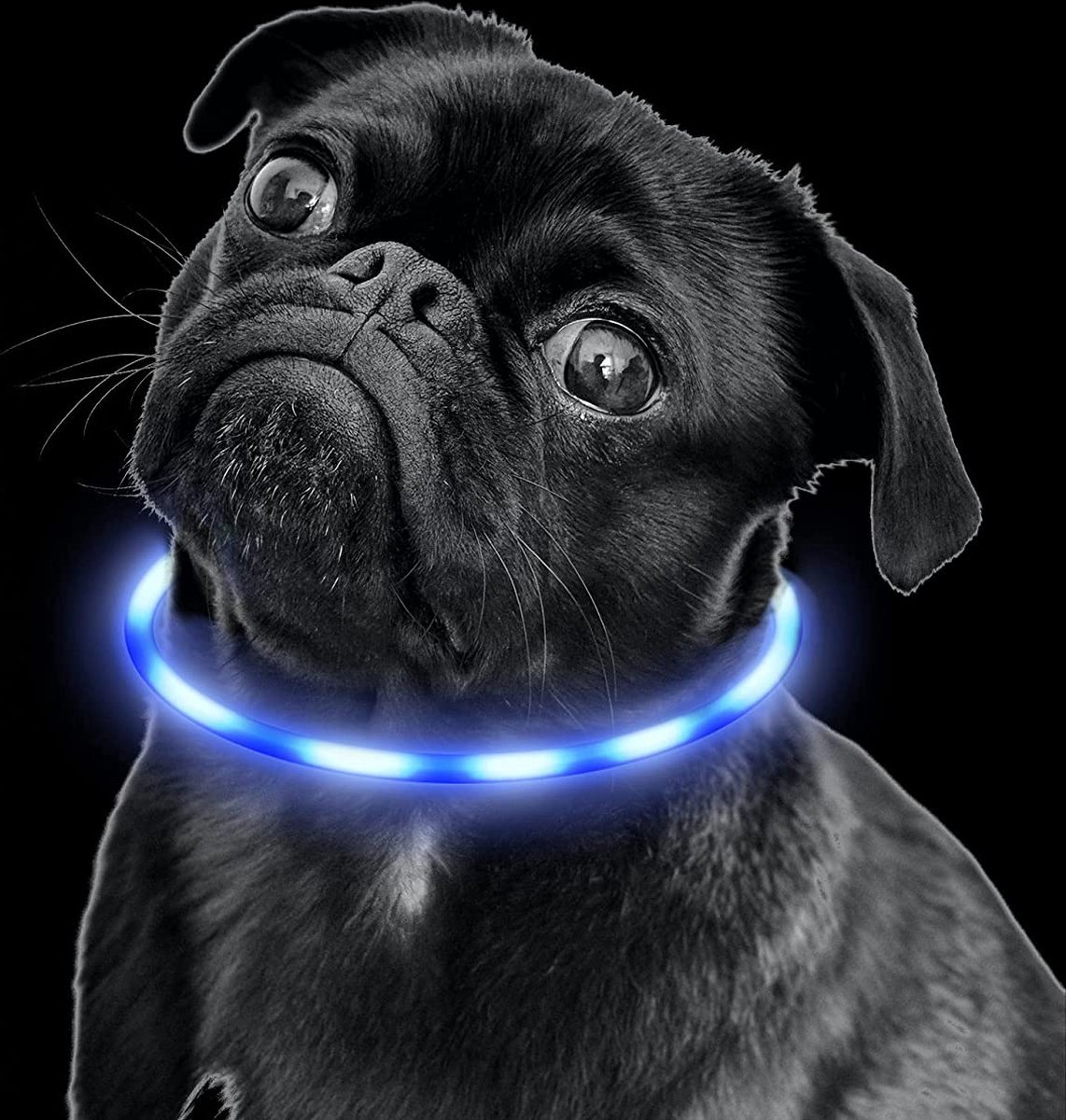 Lichtgevende Halsband Hond - USB Oplaadbaar - Multicolor - 60 - 70 cm - Honden Lampje Halsband - LED Halsband Hond - Hondenverlichting