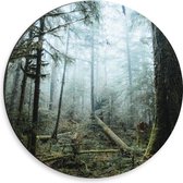 WallClassics - Dibond Muurcirkel - Takken op Grond van Mistig Bos - 30x30 cm Foto op Aluminium Muurcirkel (met ophangsysteem)