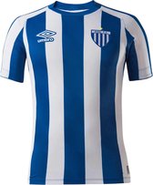 Globalsoccershop - Avaí Shirt - Voetbalshirt Brazilië - Voetbalshirt Avaí - Thuisshirt 2022 - Maat XL - Braziliaans Voetbalshirt - Unieke Voetbalshirts - Voetbal