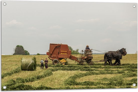 WallClassics - Tuinposter – Paarden in de Landbouw - 90x60 cm Foto op Tuinposter  (wanddecoratie voor buiten en binnen)