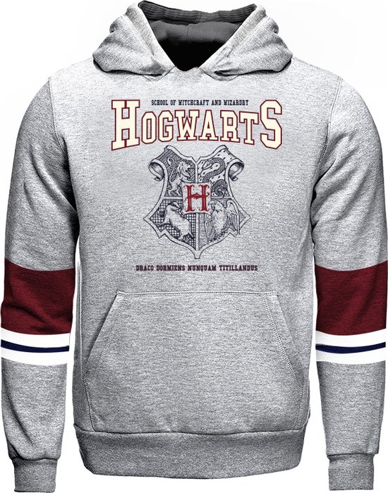 Sweat à Capuche Harry Potter Poudlard Pour Enfant - Tissu 100% Coton 260 G/m², Imprimé Relief Hogwarts, Unisexe Tailles 1 An à 13 Ans