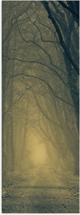 WallClassics - Poster Glanzend – Mist op Bospad Omringd door Bomen - 20x60 cm Foto op Posterpapier met Glanzende Afwerking