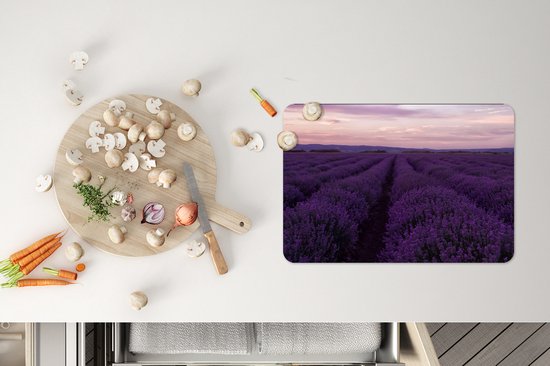 Set de Table - Napperons de Table en Plastique - Lavande - Violet - Fleurs - Nature - 45x30 cm - 6 pièces - Résistant à la Chaleur - Antidérapant - Coussinet - Amovible