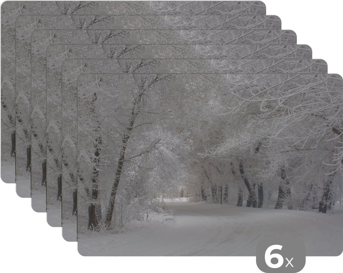 Placemat - Placemats kunststof - Bomen - Sneeuw - Winter - 45x30 cm - 6 stuks - Hittebestendig - Anti-Slip - Onderlegger - Afneembaar
