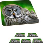 Onderzetters voor glazen - Vogel - Uil - Dieren - Bruin - Portret - 10x10 cm - Glasonderzetters - 6 stuks