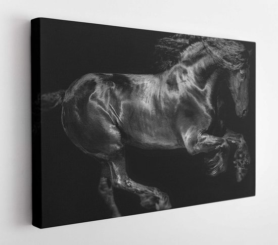 Zwart paard loopt vrij – Modern Art Canvas – Horizontaal – 681762526 – 170*120 Horizontal