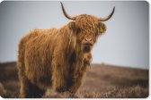 Muismat - Mousepad - Schotse Hooglander - Duin - Gras - 27x18 cm - Muismatten