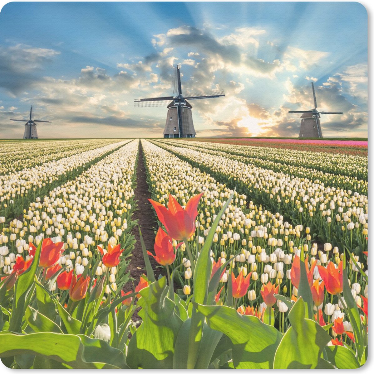 Muismat 30x30 cm - Mousepad Windmolen - Tulpen - Lucht - Natuur - Muismatten