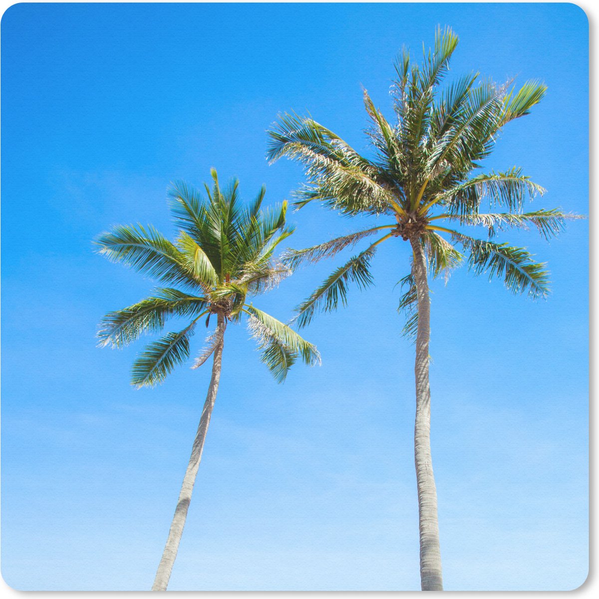 Muismat 30x30 cm - Mousepad Palm - Zomer - Tropisch - Muismatten