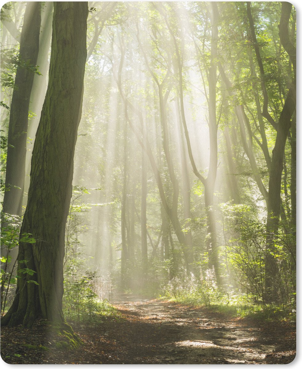Muismat Groot - Bos - Licht - Natuur - Landschap - 30x40 cm - Mousepad - Muismat