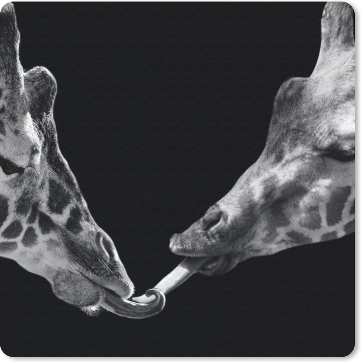 Muismat 20x20 cm - Mousepad Dieren - Zwart - giraffe - Wit - Portret - Muismatten