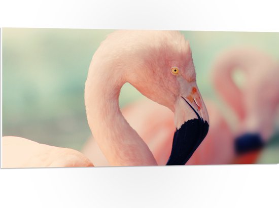 WallClassics - PVC Schuimplaat - Hoofd van een Roze Flamingo - 100x50 cm Foto op PVC Schuimplaat (Met Ophangsysteem)