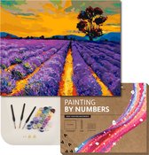 ARTECO® Schilderen Op Nummer – Painting By Numbers – Volwassenen + Kinderen – Met Frame – Lavendelveld - Cadeau