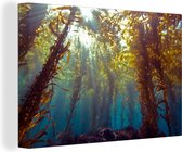 Canvas Schilderij Zonlicht en planten onder water - 30x20 cm - Wanddecoratie