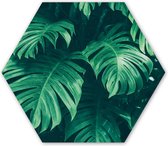 Hexagon wanddecoratie - Kunststof Wanddecoratie - Hexagon Schilderij - Monstera - Bladeren - Planten - Jungle - Natuur - 37x32 cm