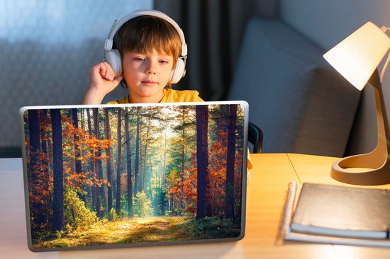 Sticker ordinateur portable - 15,6 pouces - Forêt - Soleil - Nature - Automne