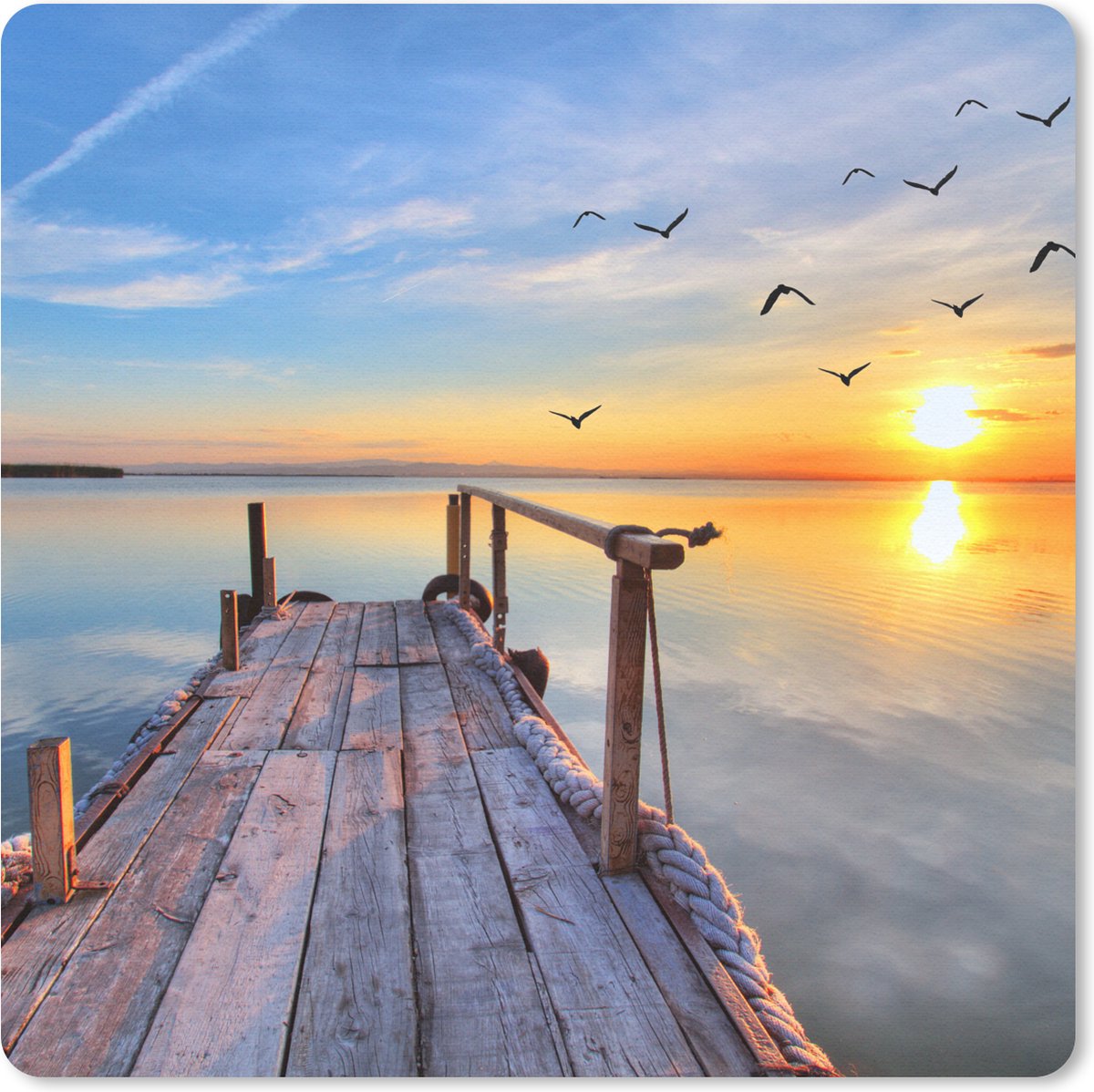 Muismat 30x30 cm - Mousepad Water - Steiger - Vogels - Zonsondergang - Horizon - Muismatten