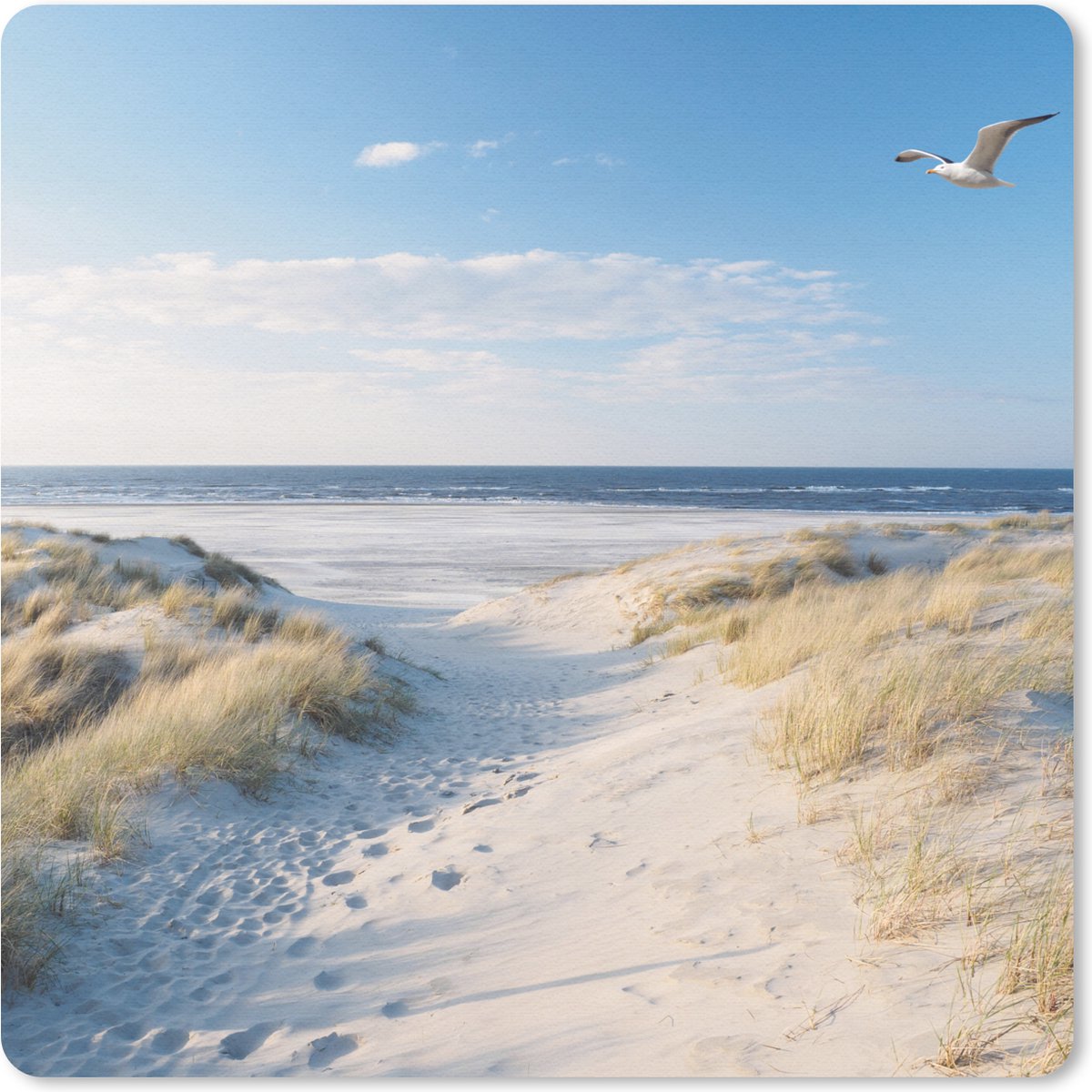 Muismat 20x20 cm - Mousepad Duin - Meeuw - Strand - Zee - Zon - Muismatten