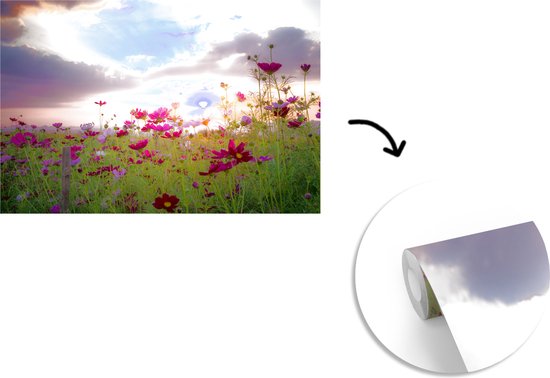 Champ de fleurs avec des fleurs roses au crépuscule 600x400 cm