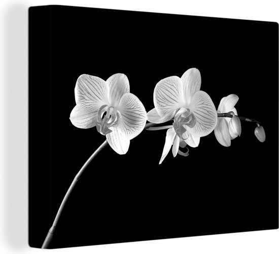Canvas schilderij 120x90 cm - Wanddecoratie Orchidee - Bloemen - Zwart - Roze - Knoppen - Muurdecoratie woonkamer - Slaapkamer decoratie - Kamer accessoires - Schilderijen op canvas