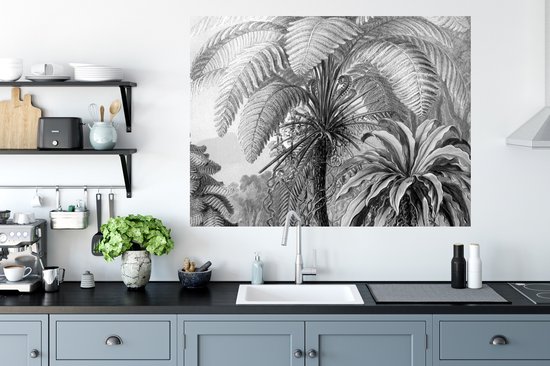 Stickers muraux - Sticker Foil - Plantes - Zwart et Blanc - Design - Illustration - Botanique - 120x90 cm - Film Adhésif - Stickers muraux Chambre Enfant - Papier Peint Auto Adhésif