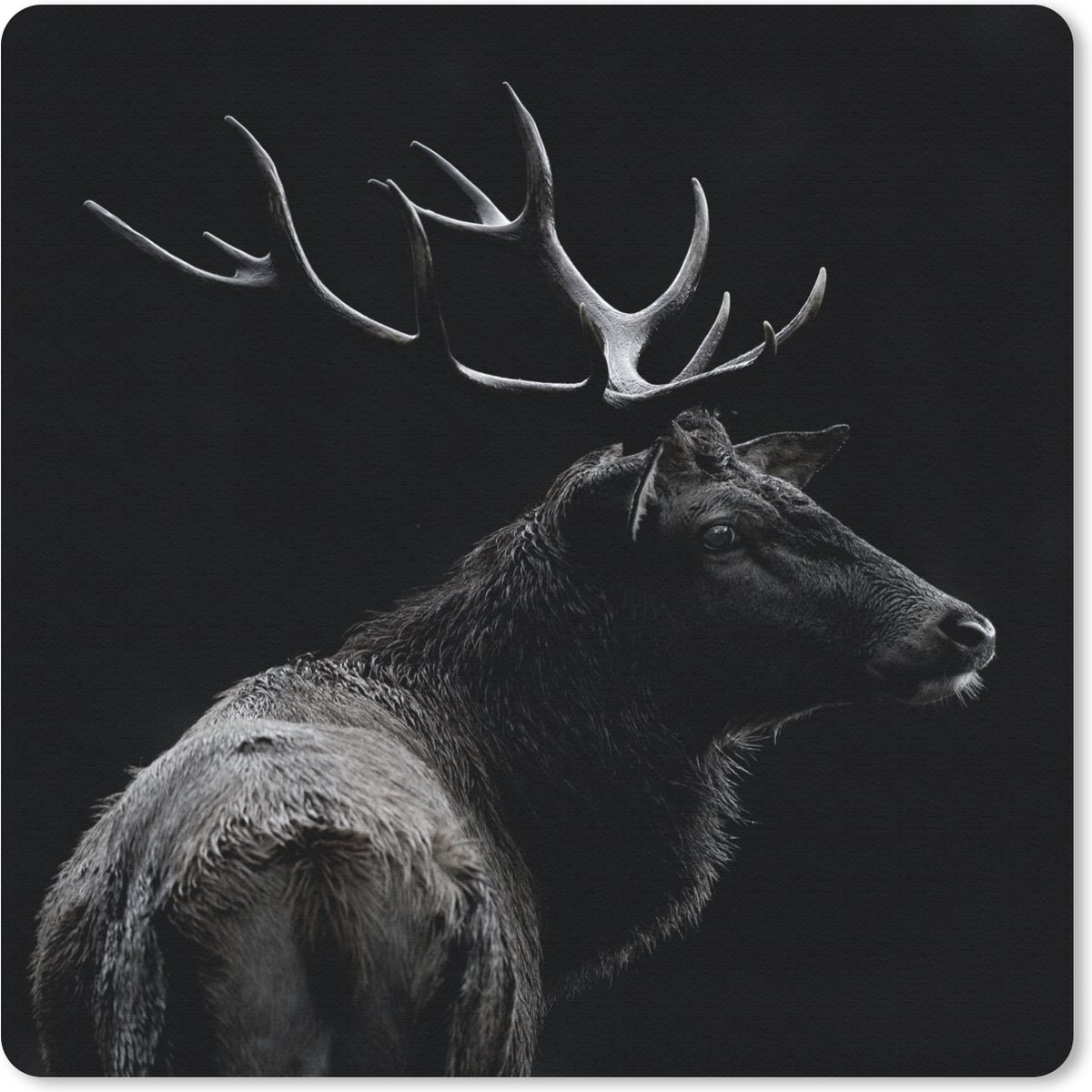 Muismat 30x30 cm - Mousepad Hert - Zwart - Portret - Gewei - Dieren - Muismatten