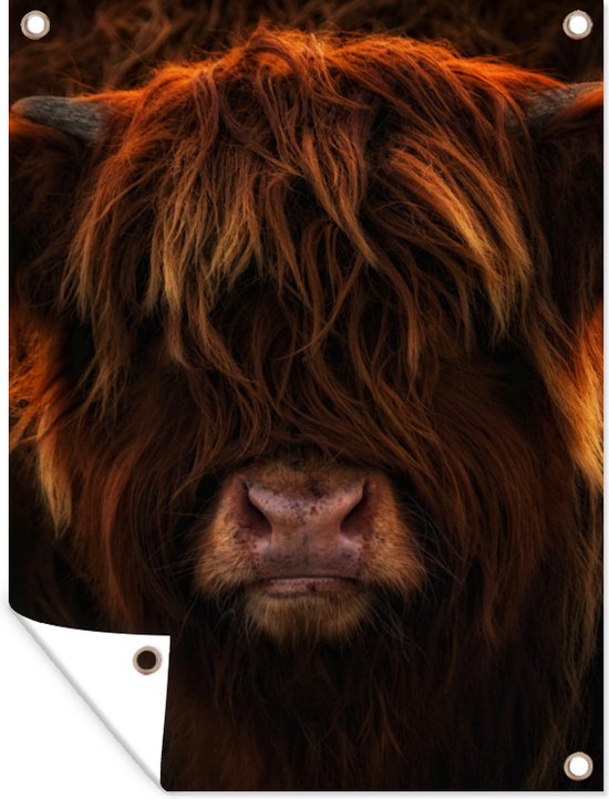 Décoration murale extérieure Highlander écossais - Portrait - Vache