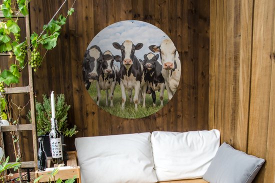 Garden Circle Vaches - Pâturage - Animaux - Nature - Herbe - 90x90 cm - Affiche Ronde de Jardin - Extérieur