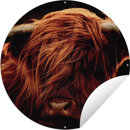 Inductie Beschermer Schotse Hooglander | Duurzaam & Stijlvol