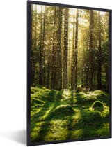 Fotolijst incl. Poster - Bomen - Bos - Mos - Planten - Zon - Natuur - 60x90 cm - Posterlijst