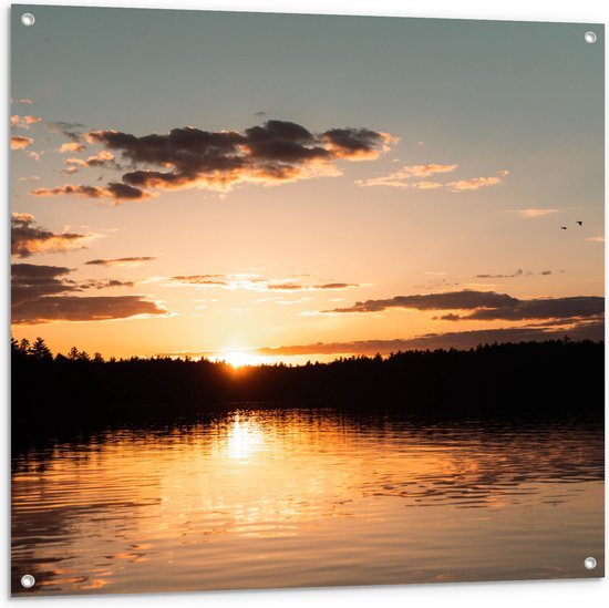 WallClassics - Poster de jardin - Coucher de soleil à l'orée d'une forêt - 100x100 cm Photo sur poster de jardin (décoration murale pour extérieur et intérieur)