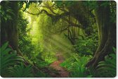 Bureau onderlegger - Muismat - Bureau mat - Jungle - Planten - Azië - Jongens - Meisje - Kind - 60x40 cm