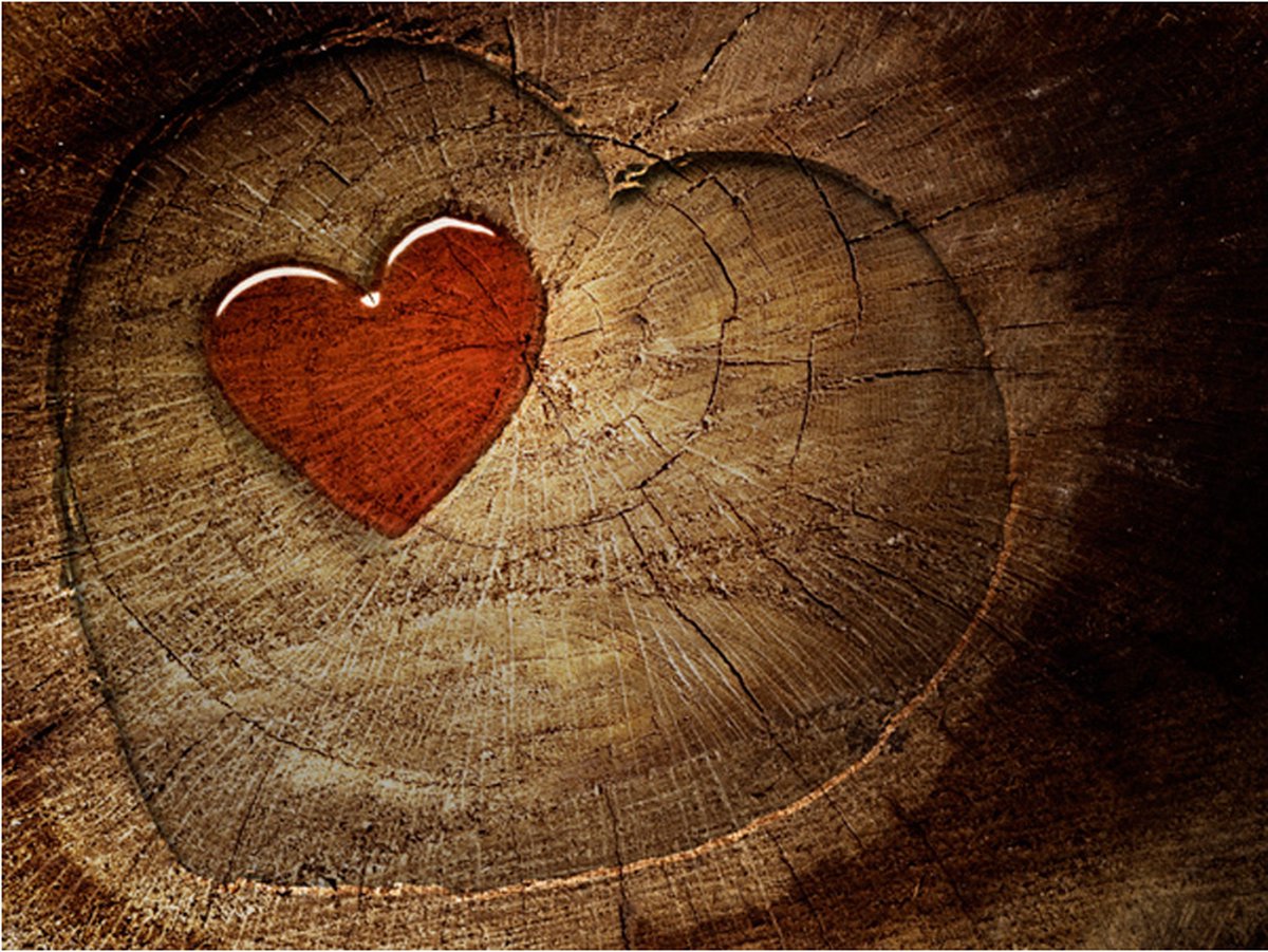 Fotobehang - Eternal love.