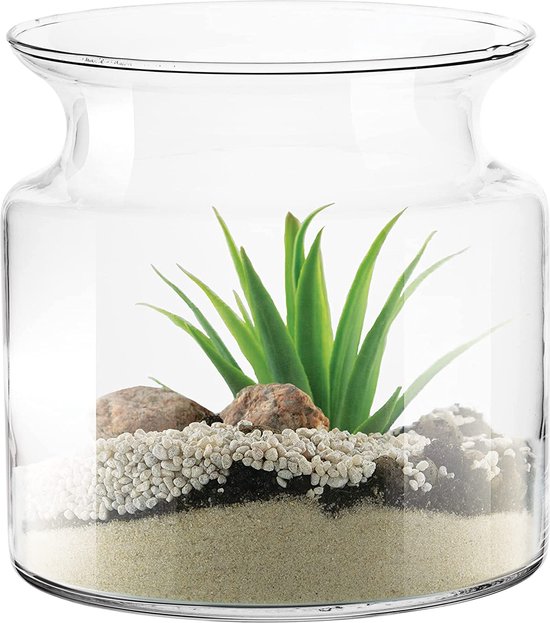 Vase en Verres transparent Pot décoratif porte-plante à fleurs florales  bouquet en... | bol.com