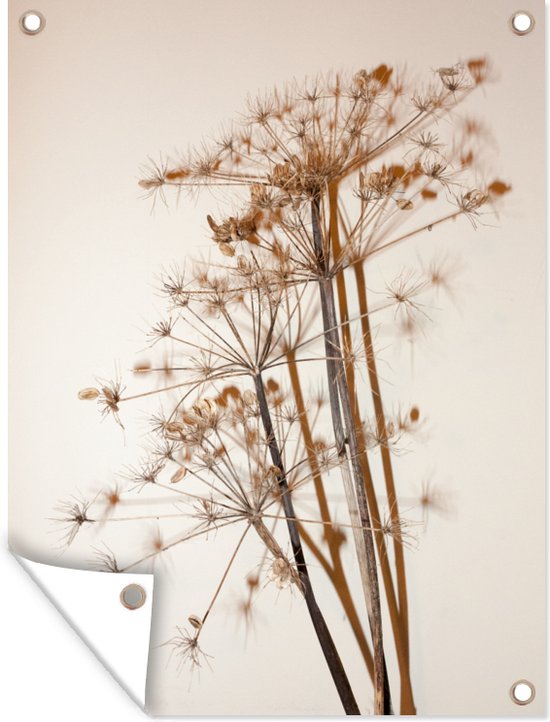 Décoration de Jardin Fleur séchée - Air - Pastel - 30x40 cm