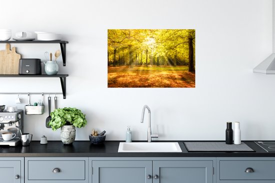 Affiche Arbre - Nature - Soleil - Paysage - Forêt - 90x60 cm