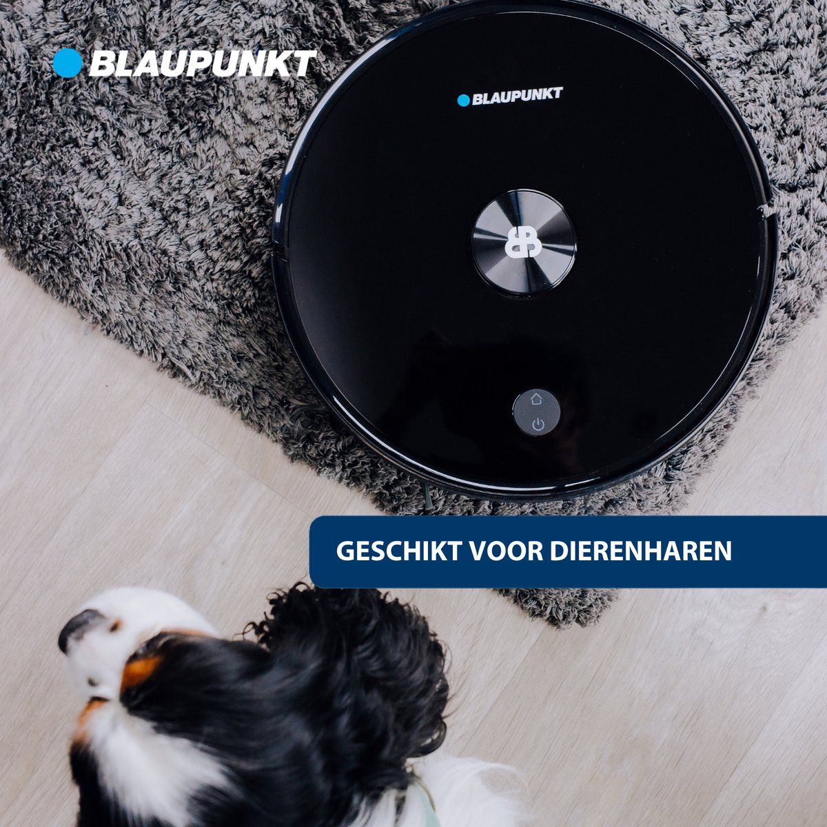 Afbeelding 3 van Blaupunkt Bluebot Comfort Plus - Robotstofzuiger met Dweilfunctie - Leegt automatisch - Laser Navigatie