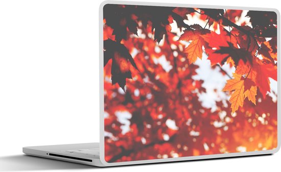 Laptop sticker - 12.3 inch - Herfstbladeren - Landelijke decoratie ...
