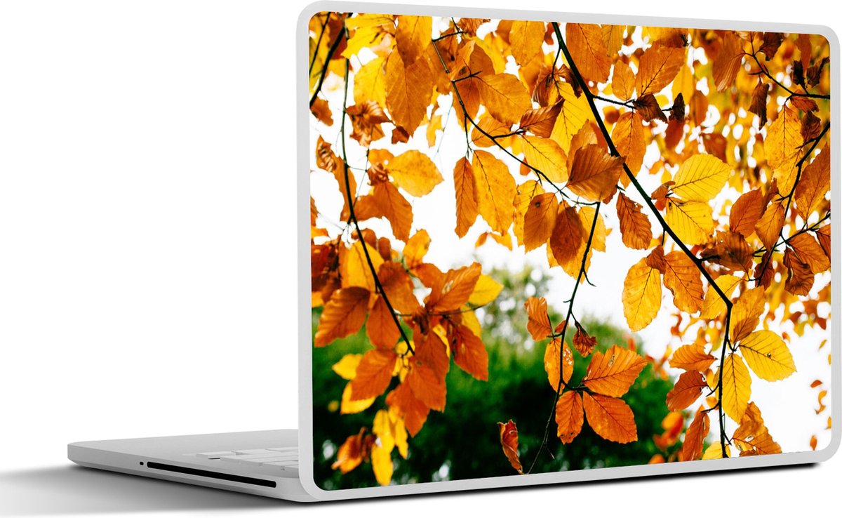 Laptop sticker - 12.3 inch - Herfstbladeren - Boom - Landelijk - 30x22cm - Laptopstickers - Laptop skin - Cover