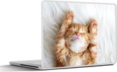 Laptop sticker - 15.6 inch - Kat - Rood - Huisdieren - Kitten - 36x27,5cm - Laptopstickers - Laptop skin - Cover