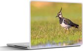 Laptop sticker - 13.3 inch - Vogel - Gras - Natuur - Dieren - Kievit - 31x22,5cm - Laptopstickers - Laptop skin - Cover