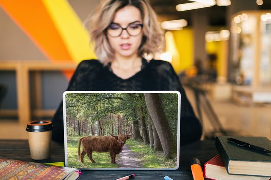 Autocollant pour ordinateur portable - 10,1 pouces - Highlander écossais - Crapaud - Arbre - 25x18cm - Autocollants pour ordinateur portable - Peau pour ordinateur portable - Couverture