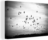 Canvas schilderij - Dieren - Vogels - Wolken - Zwart - Wit - Woonkamer - 120x80 cm - Canvas doek - Foto op canvas